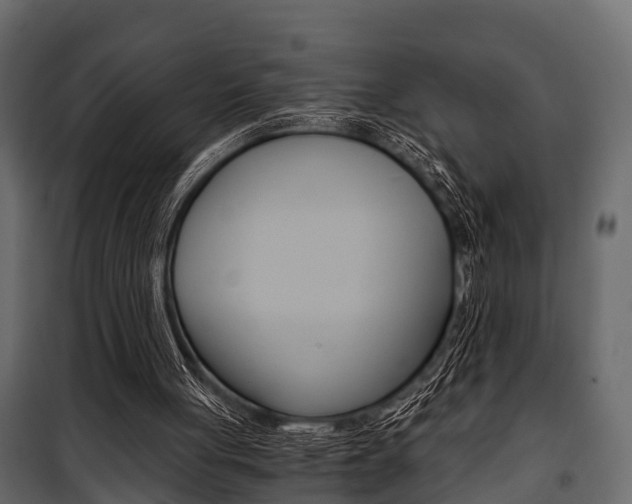 X0000100930051200806241148