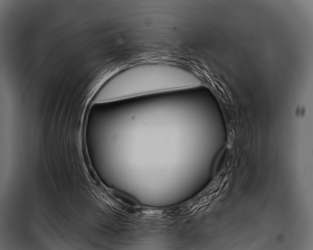 X0000100930052200806241148