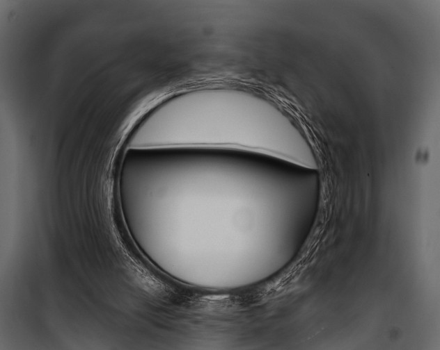 X0000100930054200806241148