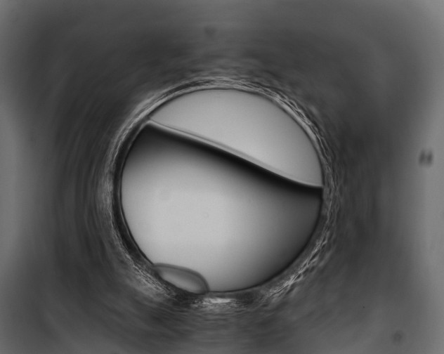 X0000100930055200806241148