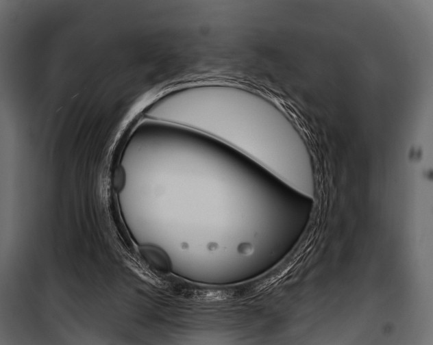 X0000100930056200806241148