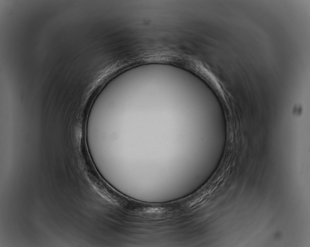 X0000100930059200806241148