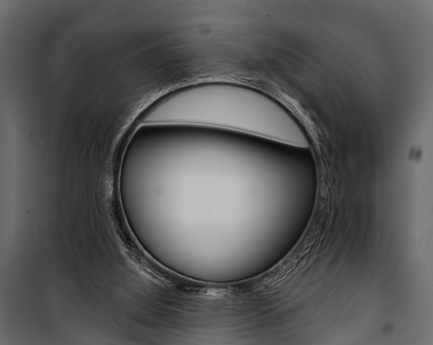 X0000100930060200806241148