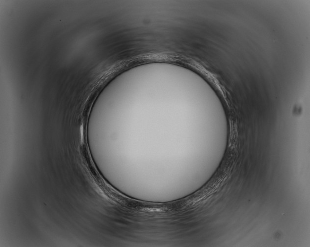 X0000100930061200806241148