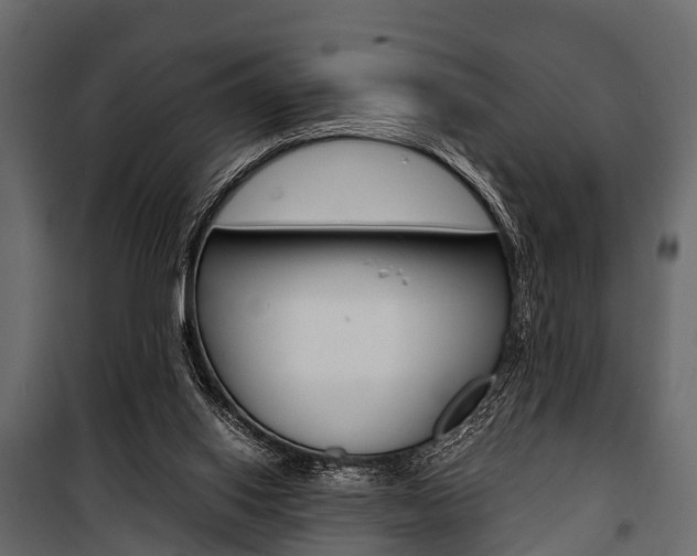 X0000100930062200806241148