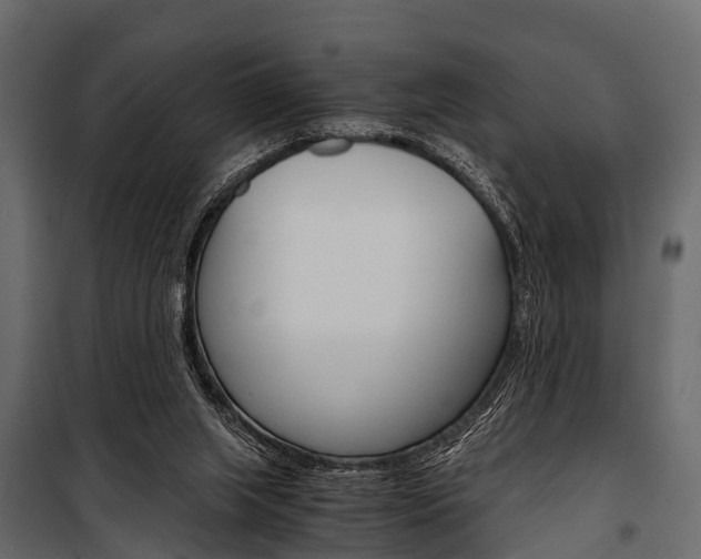 X0000100930063200806241148