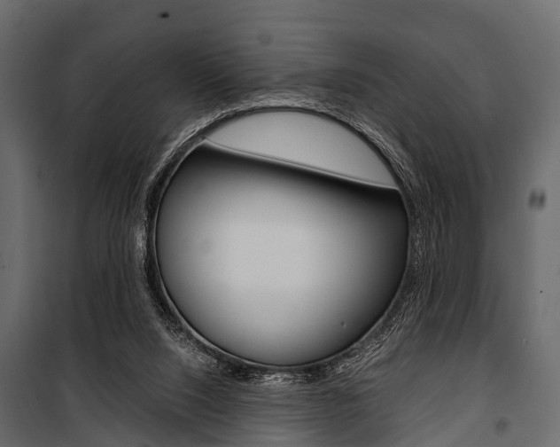 X0000100930064200806241148