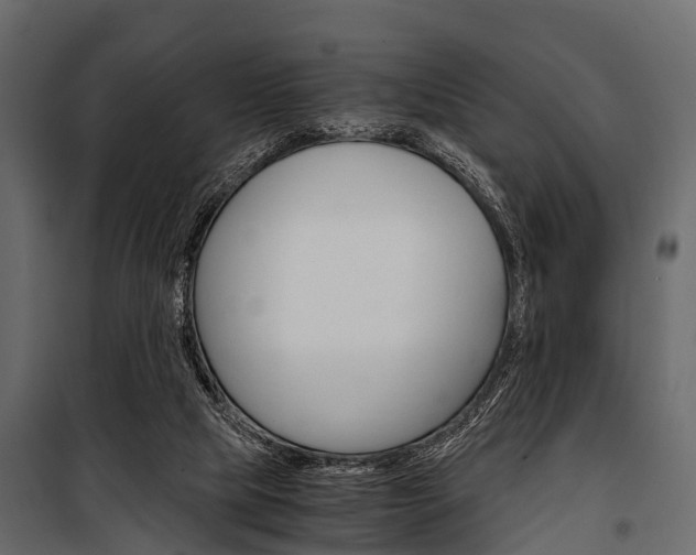 X0000100930065200806241148