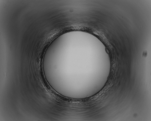 X0000100930066200806241148