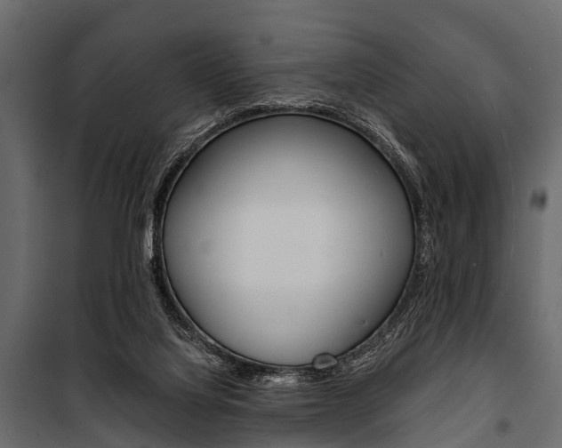 X0000100930068200806241148