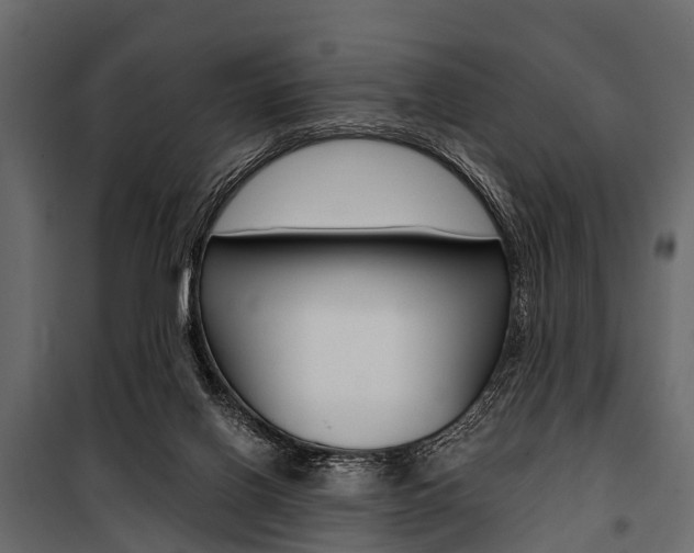 X0000100930070200806241148