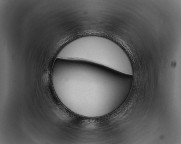 X0000100930071200806241148