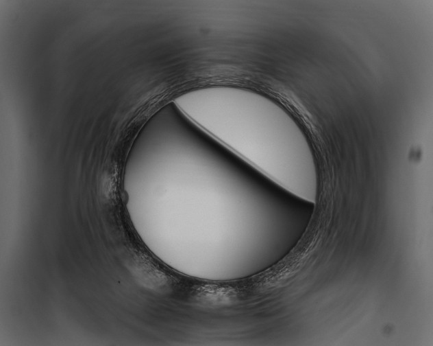 X0000100930073200806241148