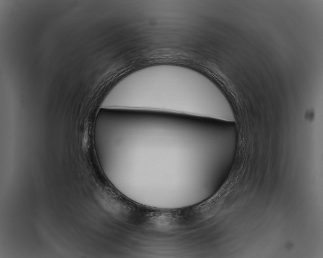 X0000100930074200806241148