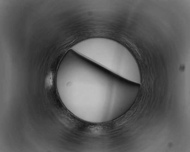 X0000100930075200806241148