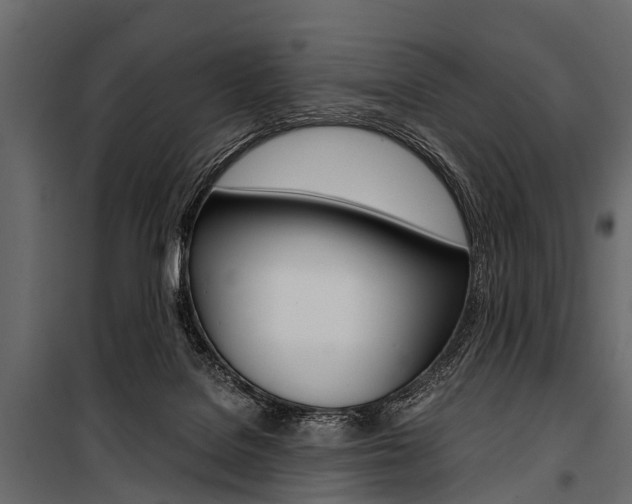 X0000100930076200806241148