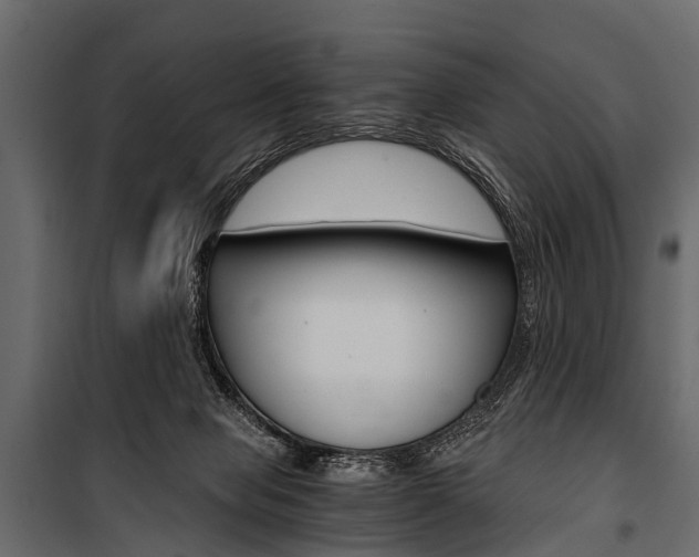 X0000100930077200806241148