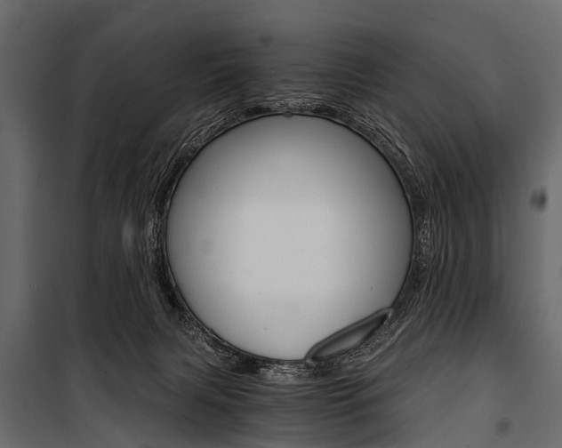 X0000100930079200806241148