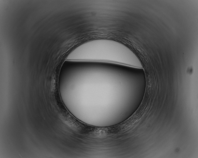 X0000100930080200806241148