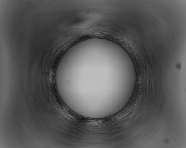 X0000100930081200806241148