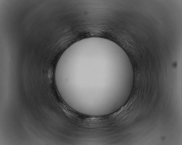 X0000100930082200806241148