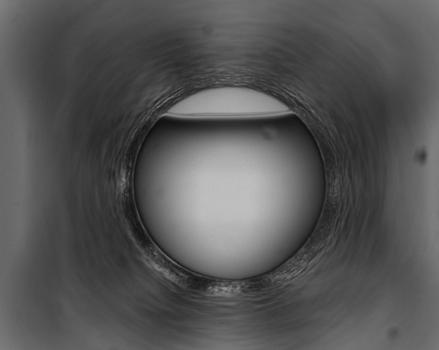 X0000100930084200806241148