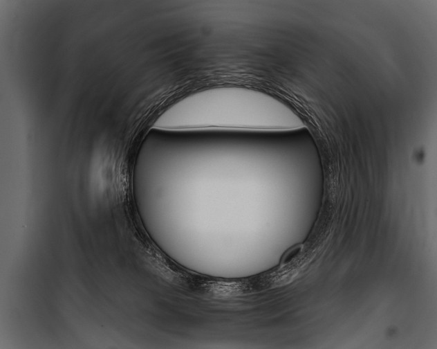 X0000100930085200806241149