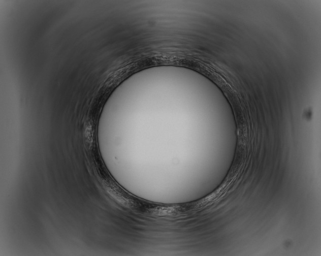 X0000100930086200806241149