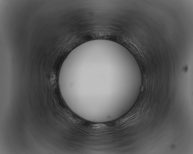 X0000100930087200806241149