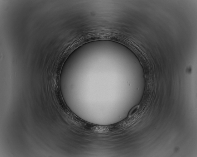 X0000100930088200806241149