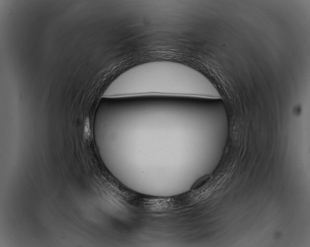 X0000100930089200806241149