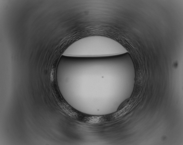 X0000100930090200806241149