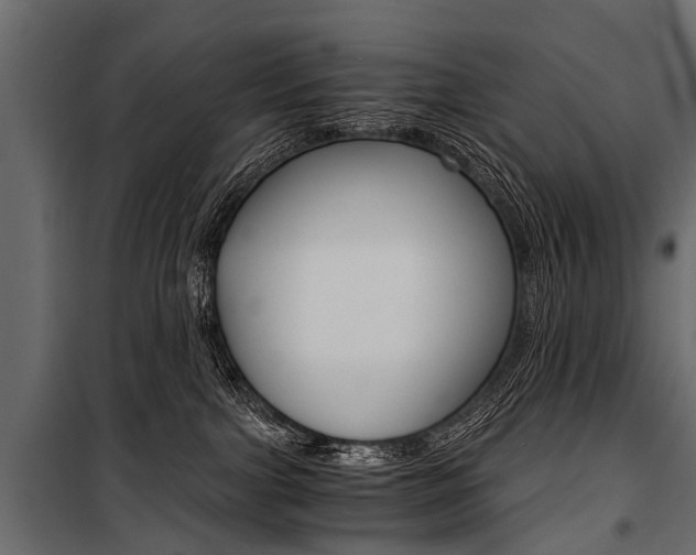 X0000100930091200806241149