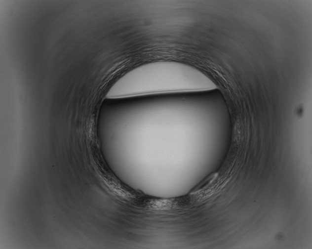 X0000100930092200806241149