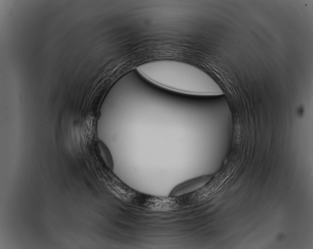 X0000100930093200806241149