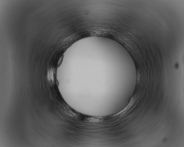 X0000100930094200806241149