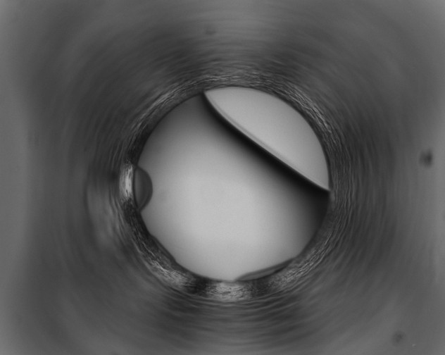 X0000100930095200806241149