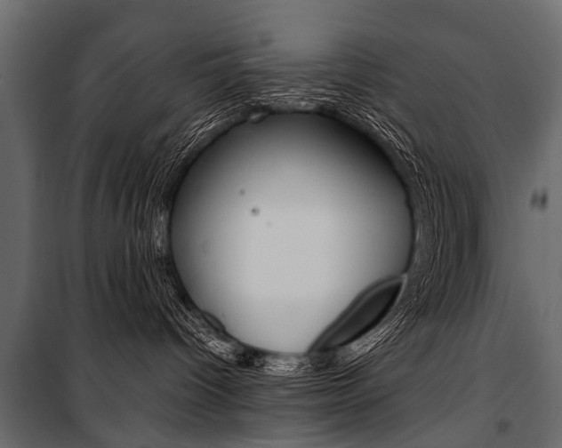 X0000100930096200806241149