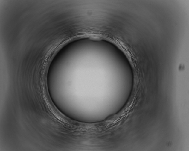 X0000100930097200806241148