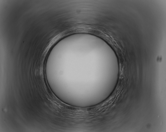 X0000100930099200806241148