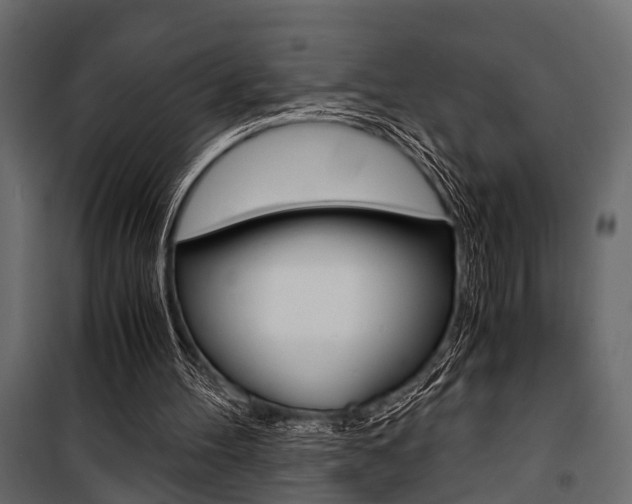 X0000100930100200806241148