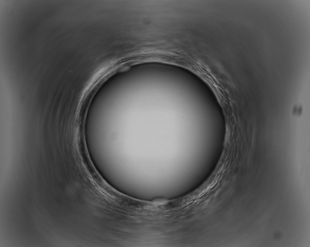 X0000100930101200806241148