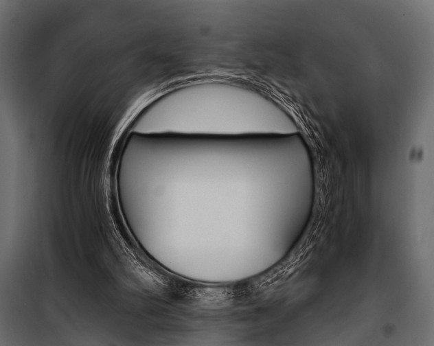 X0000100930102200806241148