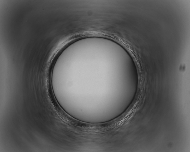 X0000100930103200806241148