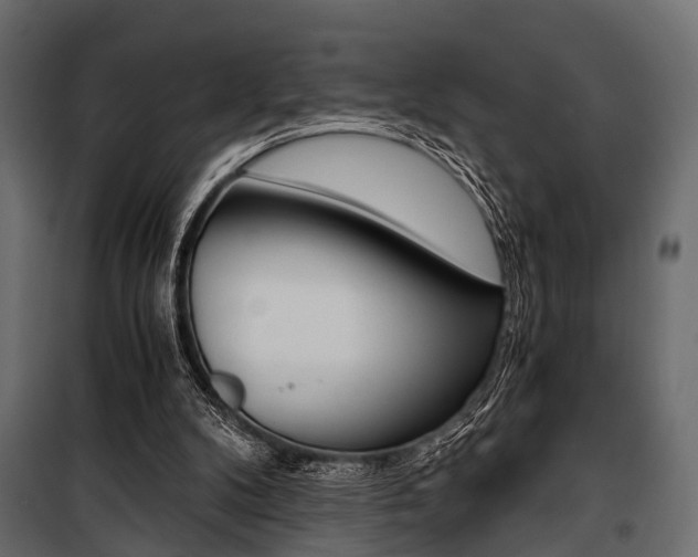 X0000100930104200806241148