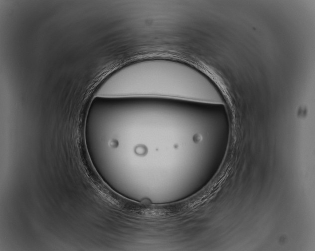 X0000100930105200806241148