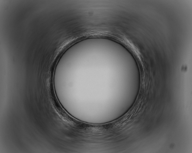 X0000100930107200806241148