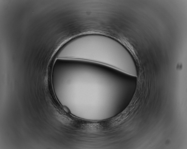 X0000100930108200806241148