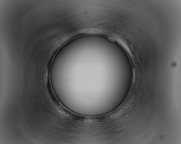 X0000100930109200806241148