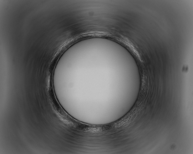 X0000100930110200806241148